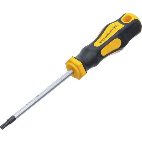 Wkrętak | profil T (do Torx) T25 | długość ostrza 100 mm