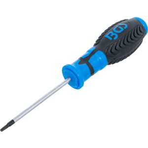 Wkrętak | profil T (do Torx) z otworem T10 | długość ostrza 80 mm